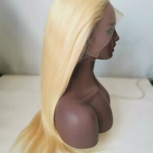 Full Lace Human Hair Wig